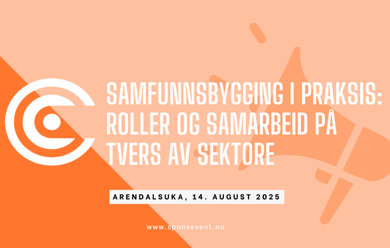 Samfunnsbygging i praksis: Roller og samarbeid på tvers av sektorer